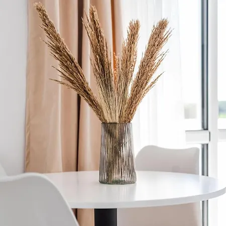 With Ac And Balcony By Pikhost Daire